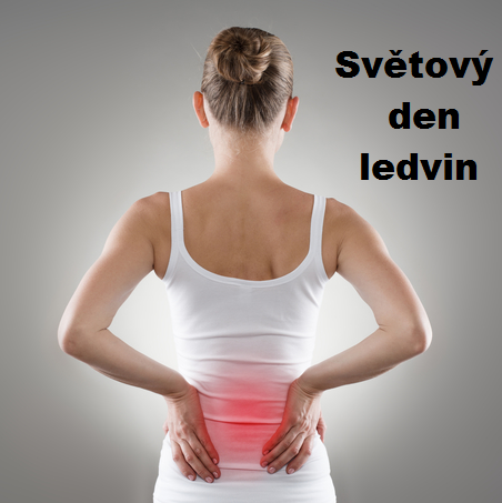 Světový den ledvin se v roce 2018 zaměřuje na ženy